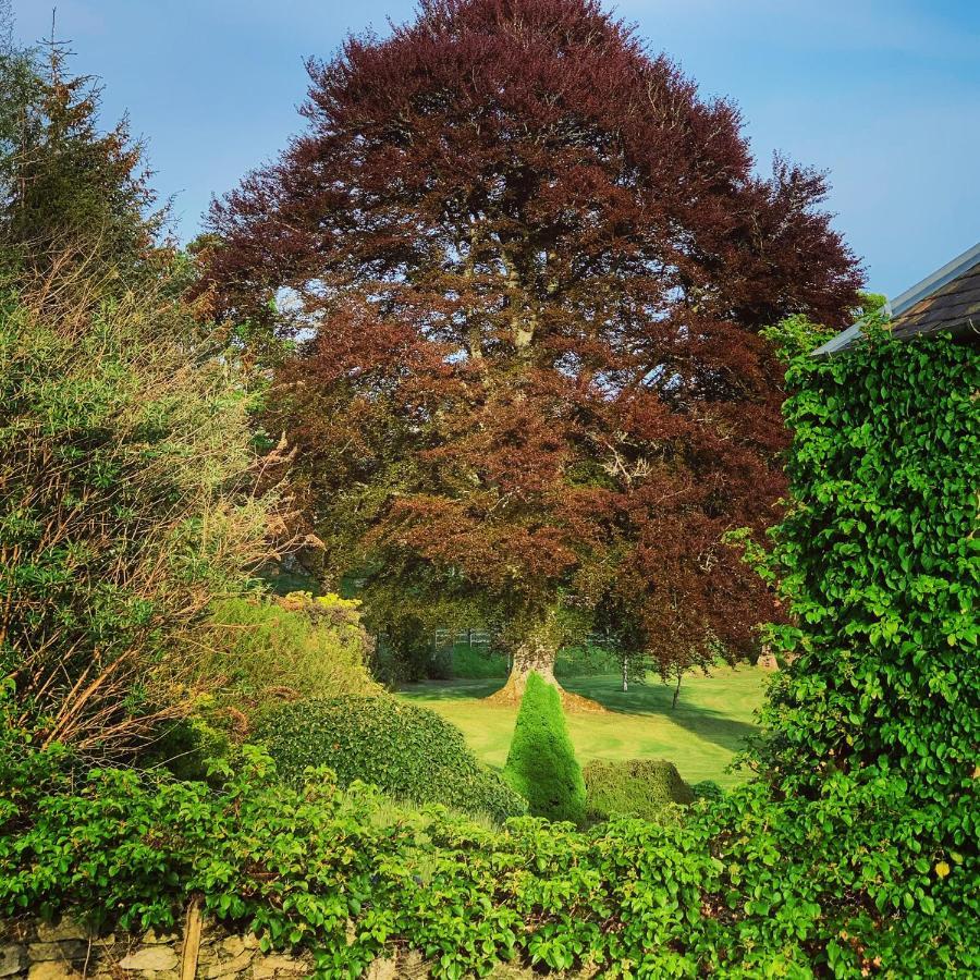 The Old Manse Of Blair, Boutique Hotel & Michelin Restaurant Blair Atholl Exterior photo